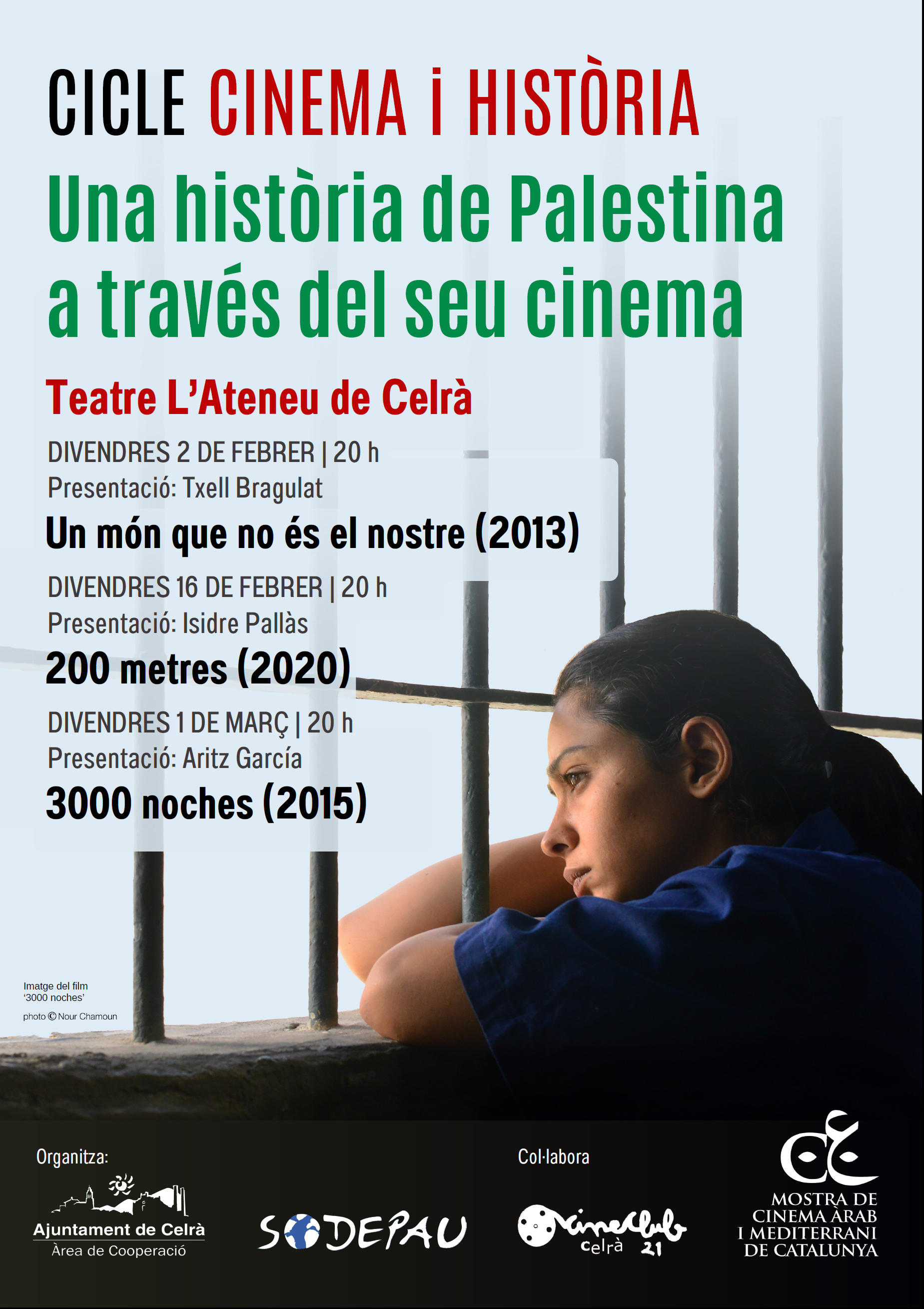 Història de Palestina a través del seu cinema