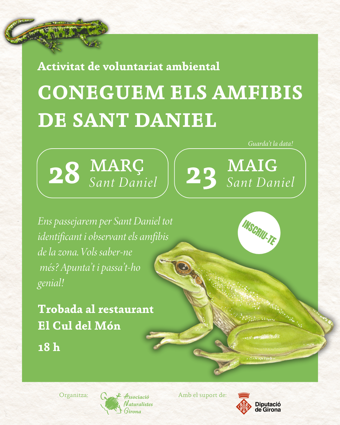 Coneguem els amfibis de la Vall de Sant Daniel