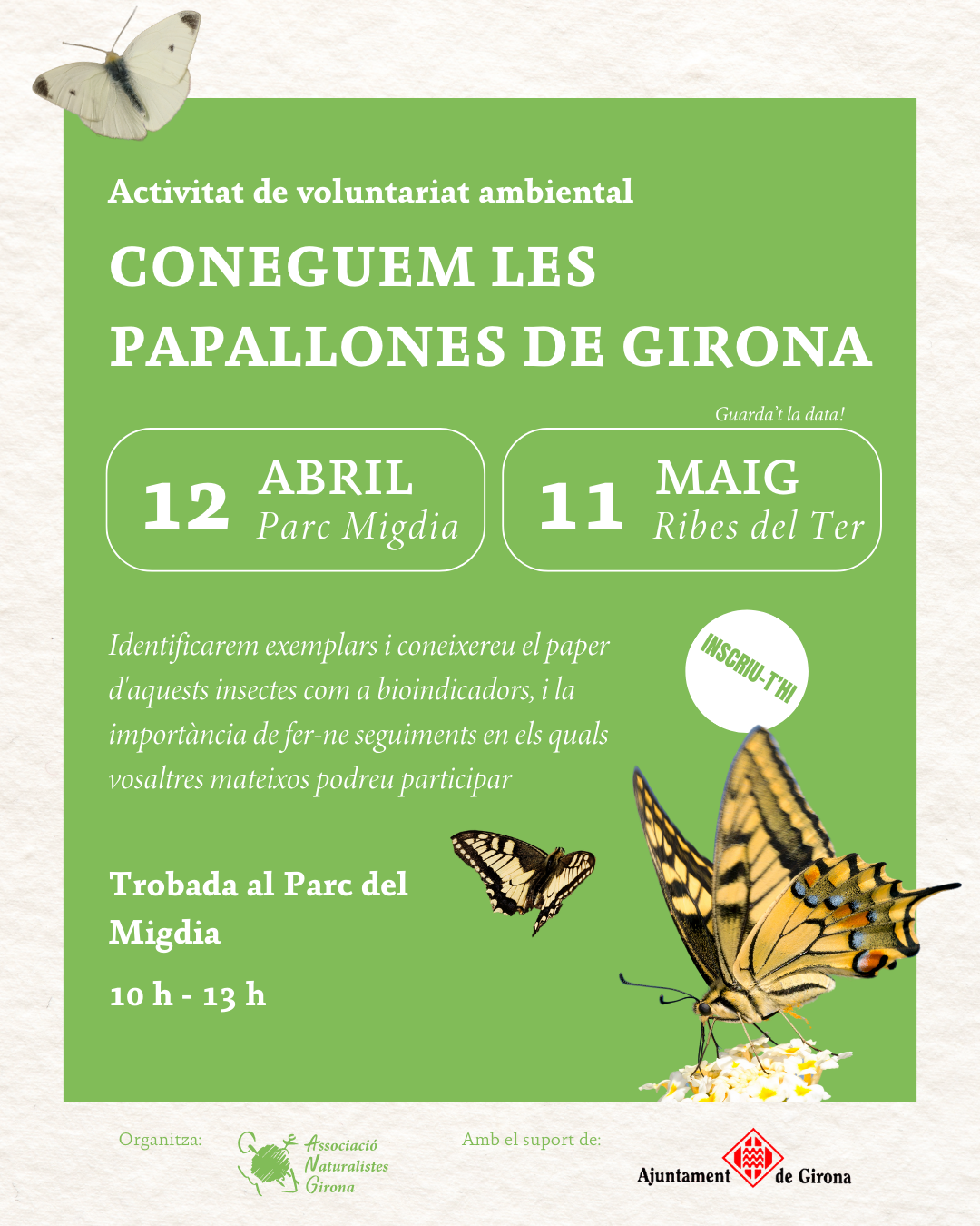 Coneguem les papallones de Girona