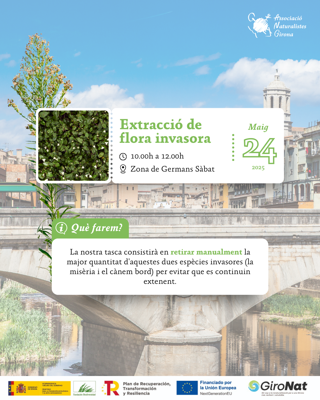 Extracció de flora invasora