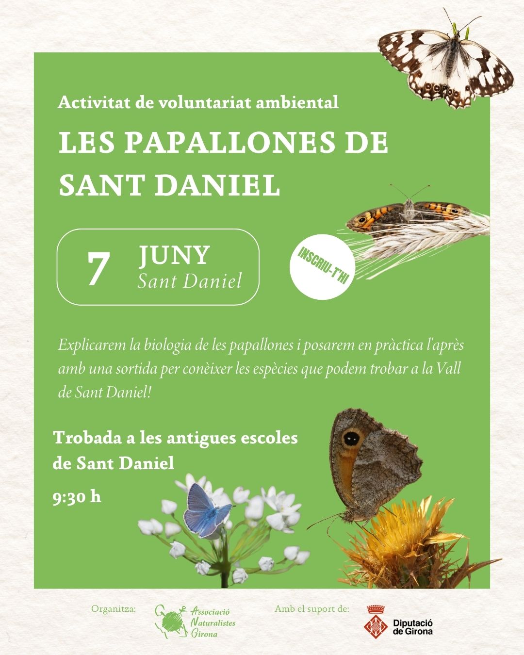 Les papallones de Sant Daniel