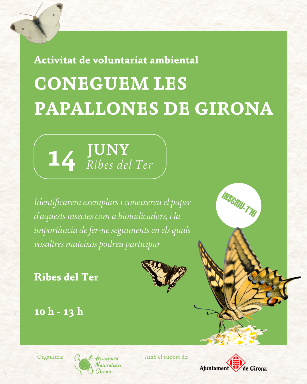 Coneguem les papallones de Girona