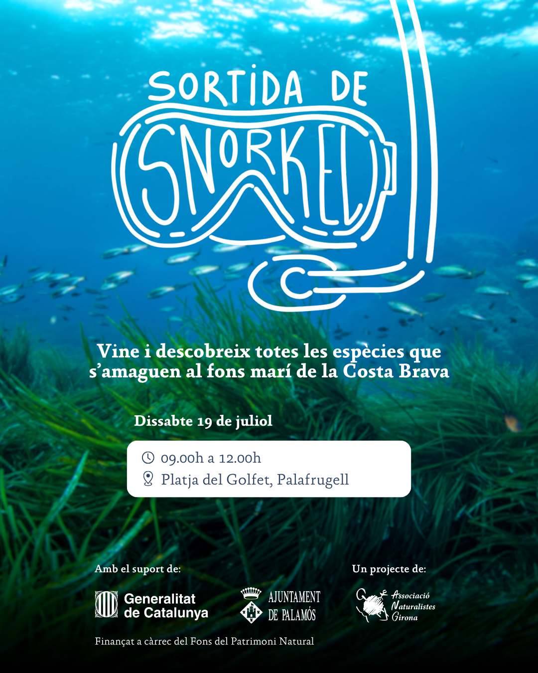 Sortida de snorkel