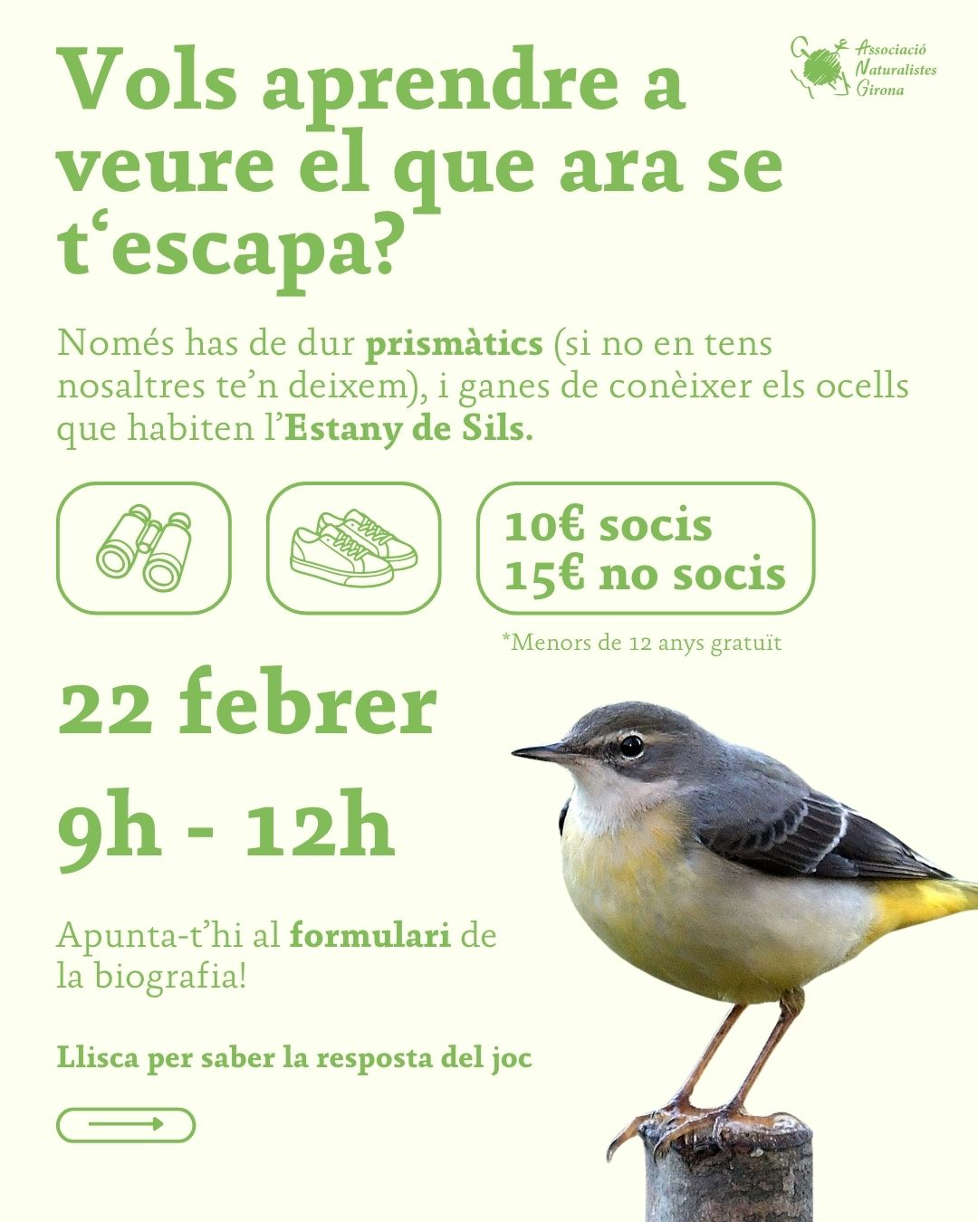 Els ocells de l'Estany de Sils