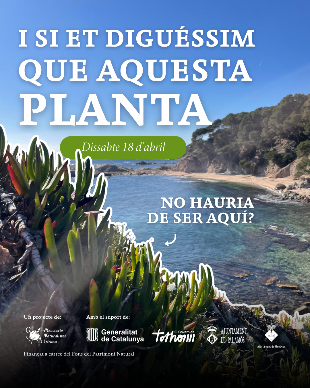 Extracció de plantes invasores a la Platja de Castell