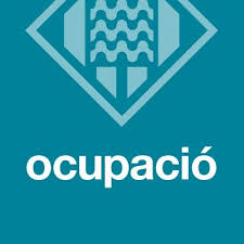 Subvenció del Programa Integral Plus