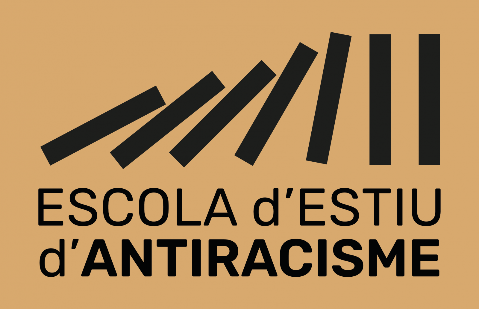 Escola d'Estiu d'Antiracisme: Immigració, racisme i salut. Els determinants socials de la salut des d’una perspectiva antiracista”