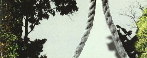 Biopiratería : el saqueo de la naturaleza y del conocimiento