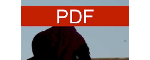 Aportaciones para la descolonización del feminismo