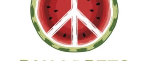Palestina a les aules 