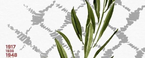 Palestina des de dins 