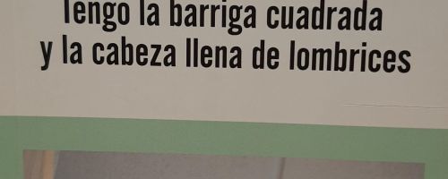 Tengo la barriga cuadrada y la cabeza llena de lombrices