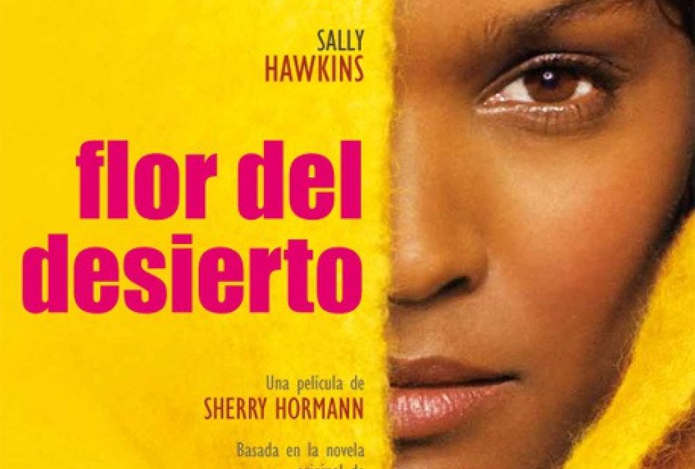 Recurs del mes de febrer 2018
