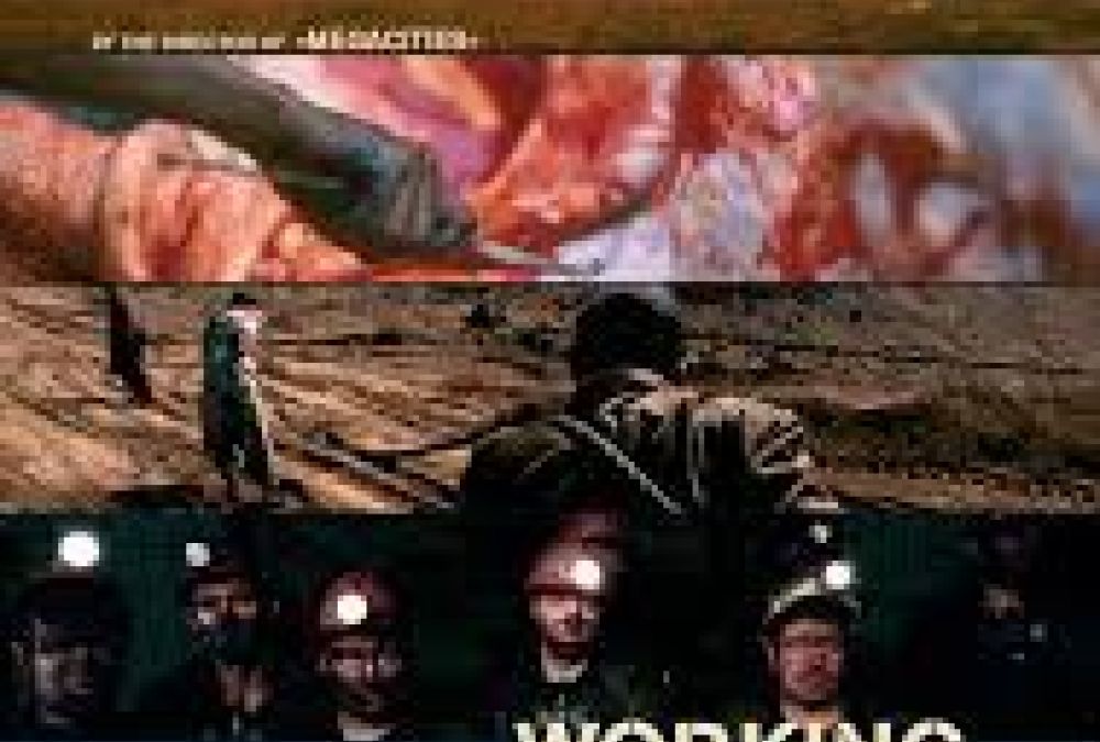 Recurs del mes de novembre 2016