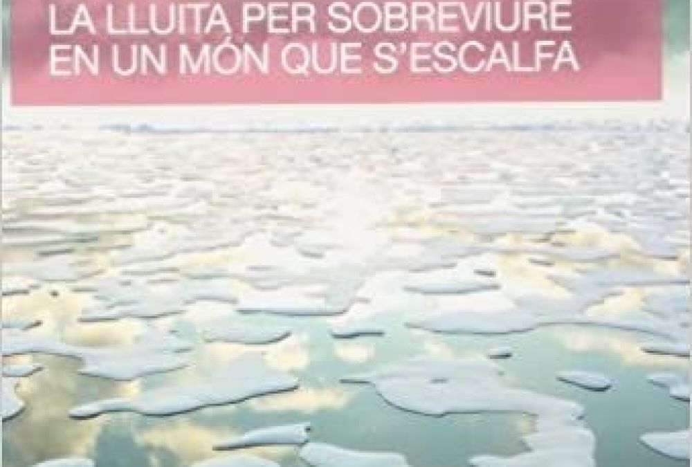 Recurs del mes de novembre 2021