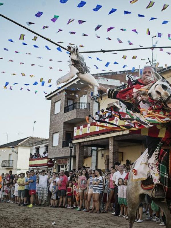 Santa Fiesta (Documental)