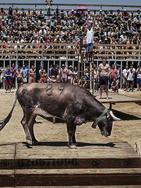 Santa Fiesta (Documental)