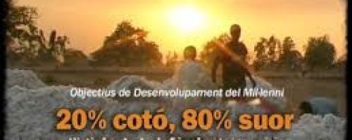 20% cotó, 80% suor: els objectius de desenvolupament del mil·lenni 