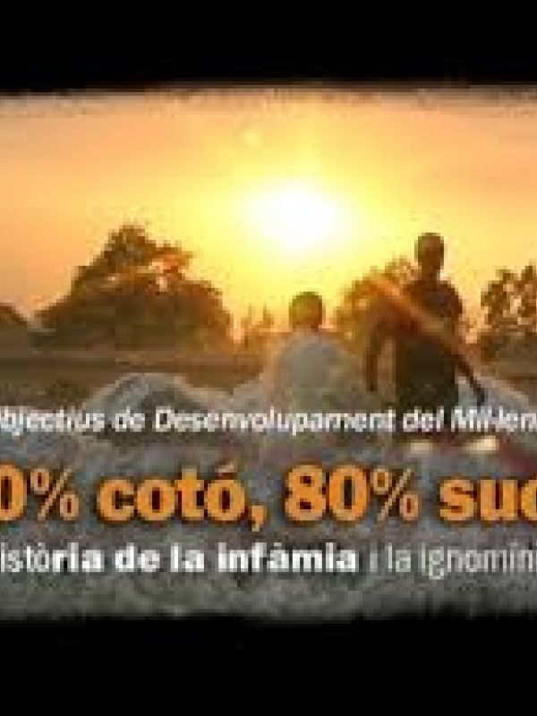 20% cotó, 80% suor: els objectius de desenvolupament del mil·lenni 