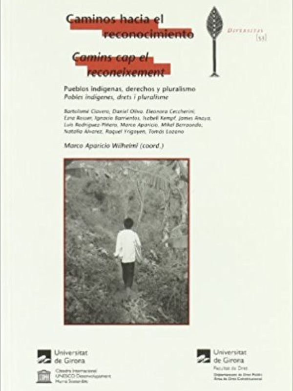 Caminos hacia el reconocimiento : pueblos indígenas, derechos y pluralismo 