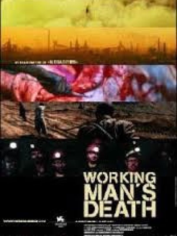 Working man's death