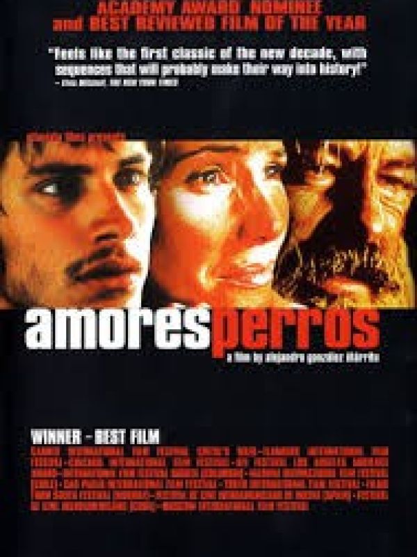 Amores perros