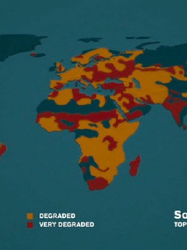 La Hora 11: transforma la hora más oscura de la humanidad (Documental)