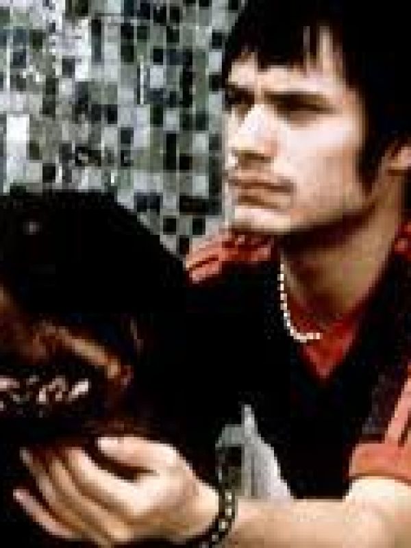 Amores perros