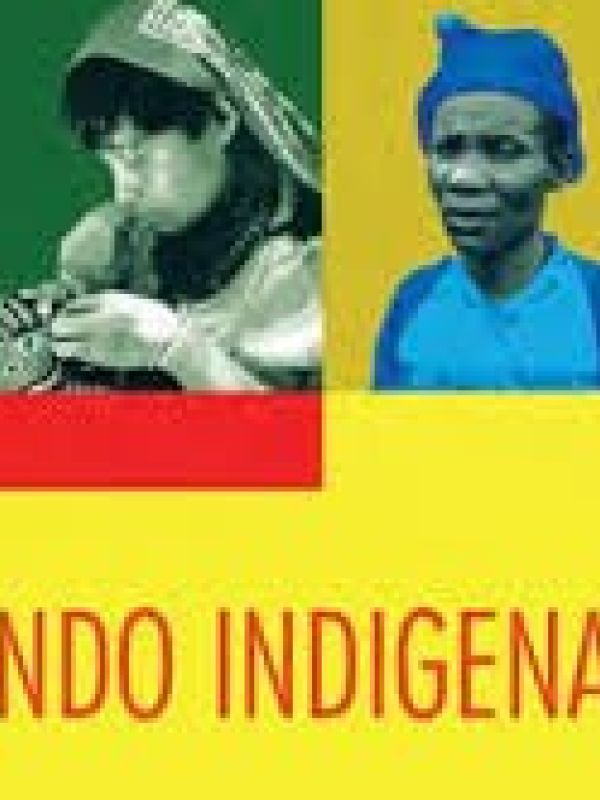 El mundo indigena 2013 (Document cartogràfic)