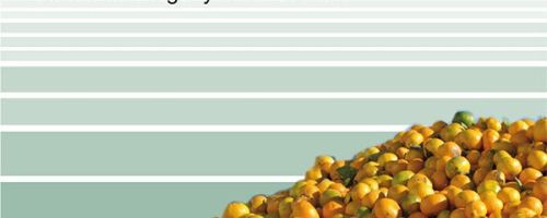 Alimentos desperdiciados : un análisis del derroche alimentario desde la soberanía alimentaria 