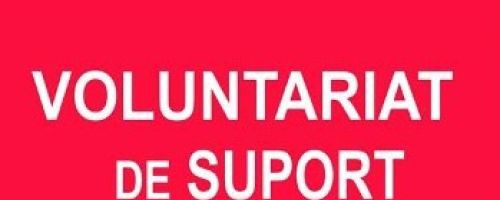 Voluntariat de suport en la solitud (recurs electrònic)