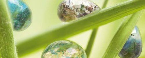 Perspectiva Mundial sobre la Biodiversidad 3