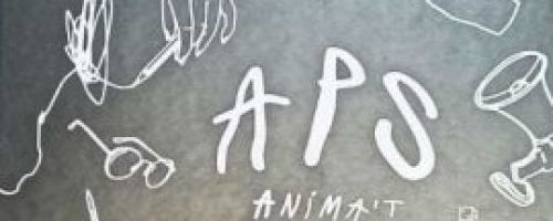 APS Anima't Projecte Segueix