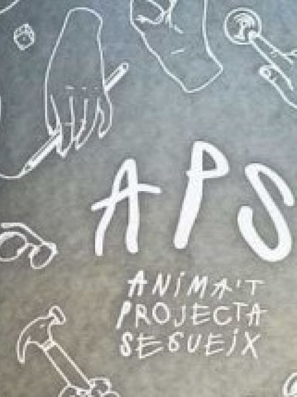 APS Anima't Projecte Segueix