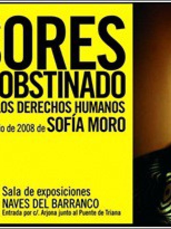 Defensores : el testimonio obstinado : 30 historias de activistas por los derechos humanos