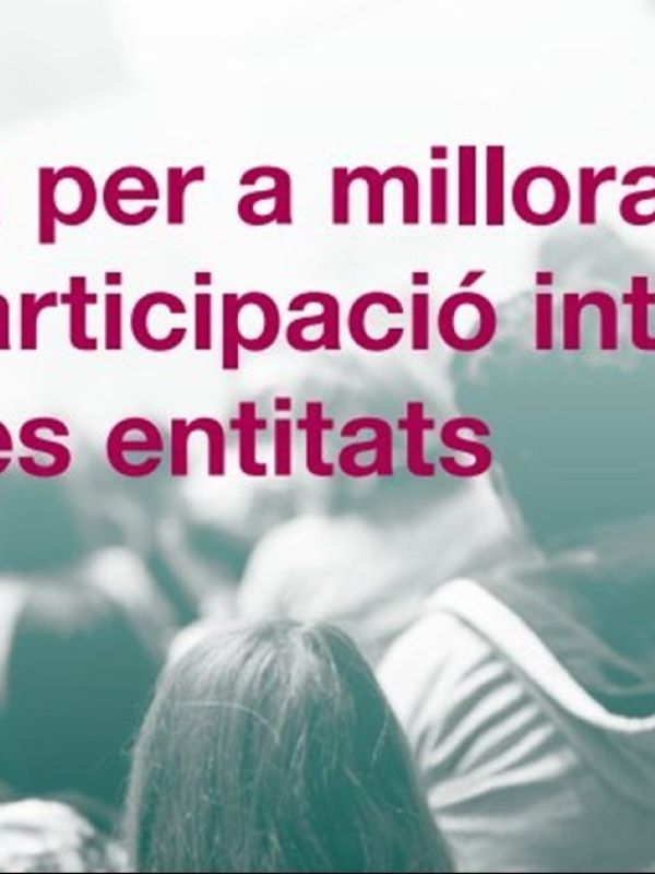 Guia per millorar la participacó interna de les entitats