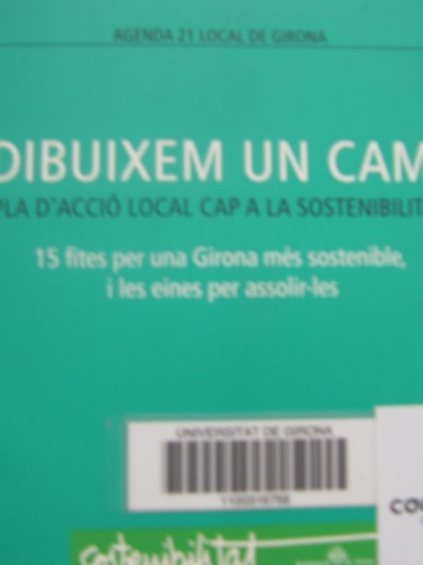 Dibuixem un camí (Recurs electrònic) : pla d'acció local cap a la sostenibilitat 