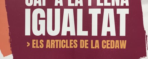 Cap a la plena igualtat. Els articles de la CEDAW