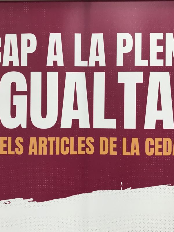 Cap a la plena igualtat. Els articles de la CEDAW