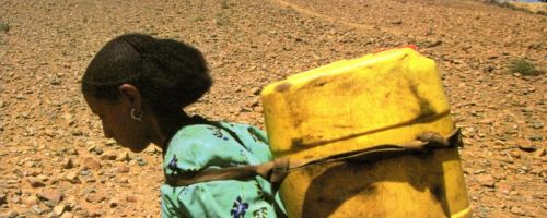 El Secuestro del agua : la mala gestión de los recursos hídrícos 
