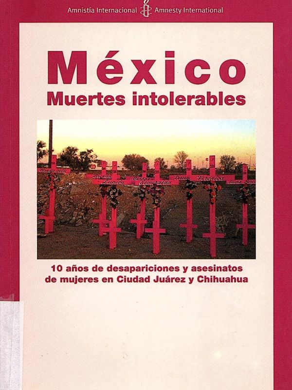 México : muertes intolerables : 10 años de desapariciones y asesinatos de mujeres en Ciudad Juárez y