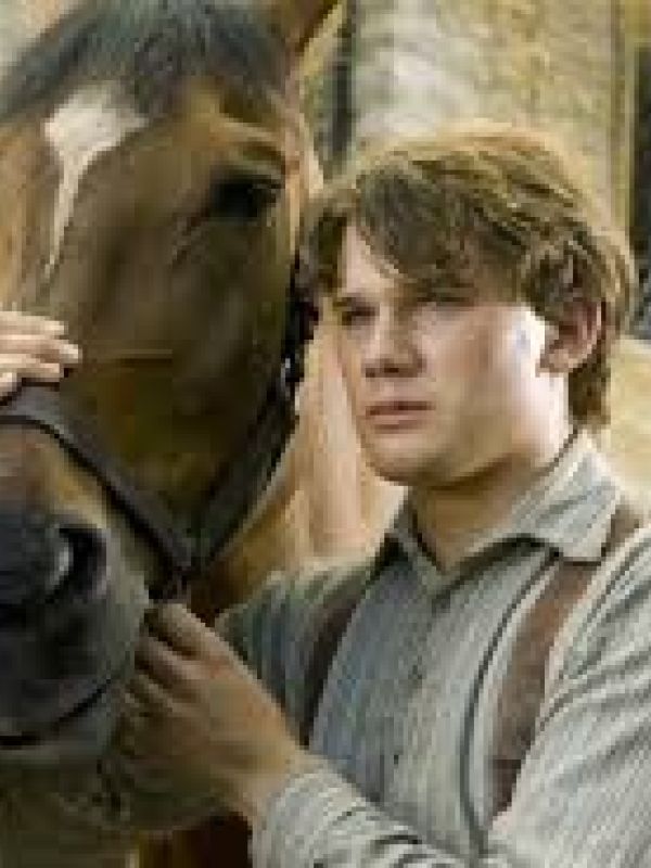 War horse 