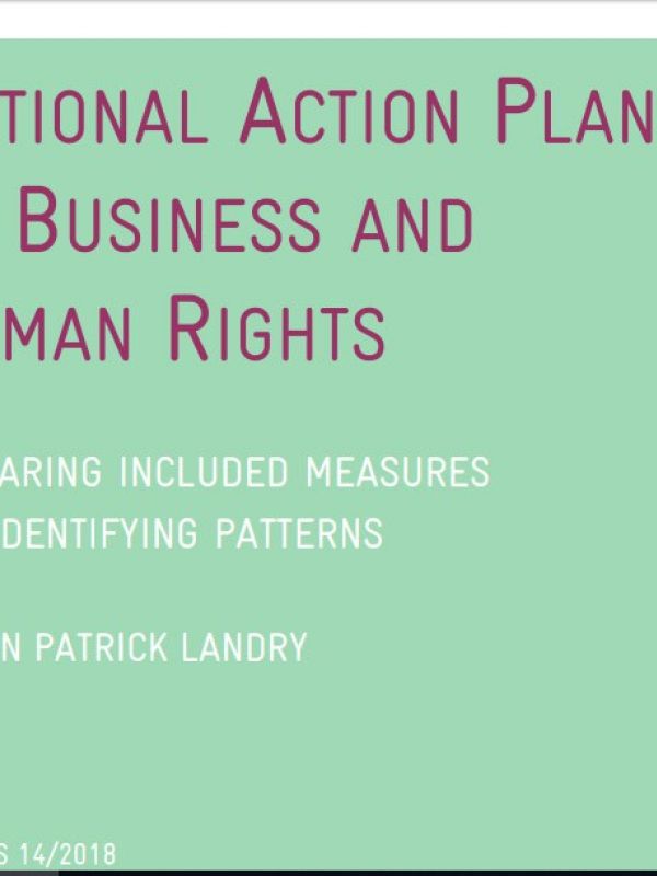 NATIONAL ACTION PLANS ON BUSINESS AND HUMAN RIGHTS: Comparing included measures and identifying patt