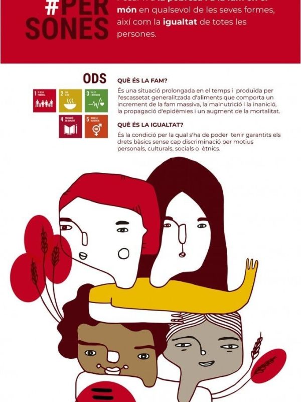 Els Objectius de Desenvolupament Sostenible (els ODS)