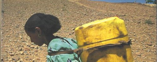 El segrest de l'aigua: la mala gestió dels recursos hídrics