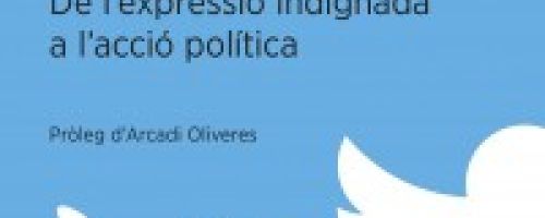 Més enllà de twitter. De l'expressió indignada a l'acció política