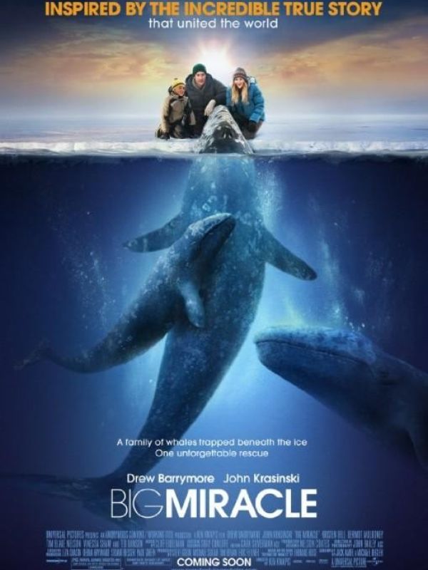 Una aventrua extraordinaria (Big Miracle. Everybody Loves Whales)